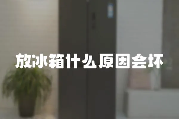 放冰箱什么原因會壞