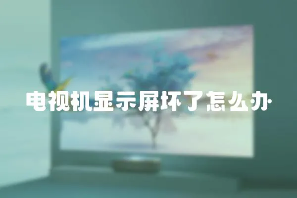 電視機顯示屏壞了怎么辦