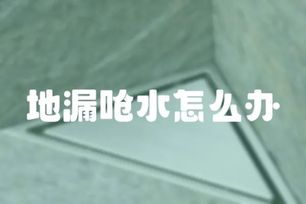 地漏嗆水怎么辦
