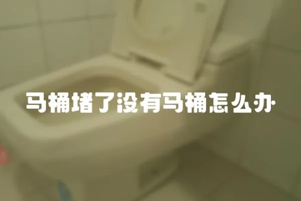 馬桶堵了沒有馬桶怎么辦