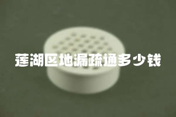 蓮湖區(qū)地漏疏通多少錢