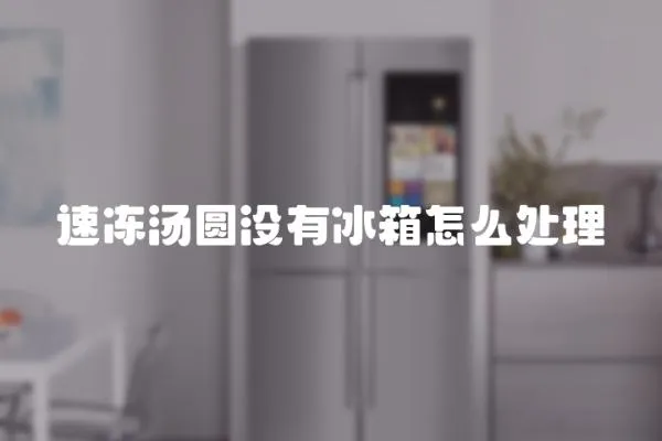 速凍湯圓沒有冰箱怎么處理