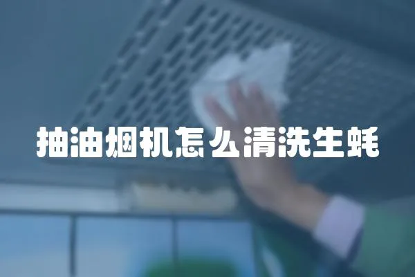 抽油煙機怎么清洗生蠔