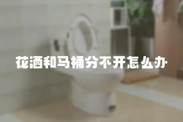 花灑和馬桶分不開怎么辦