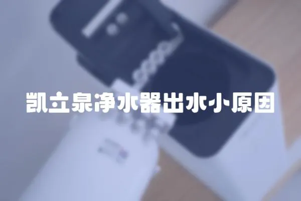 凱立泉凈水器出水小原因
