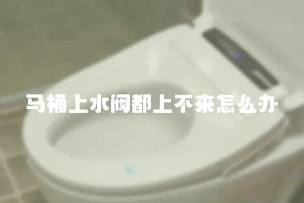 馬桶上水閥都上不來怎么辦