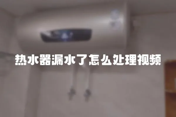 熱水器漏水了怎么處理視頻