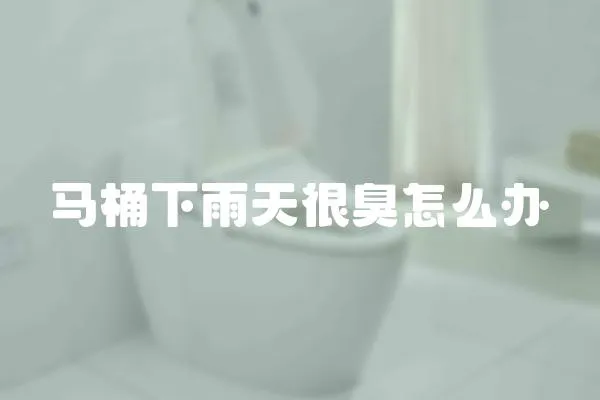 馬桶下雨天很臭怎么辦