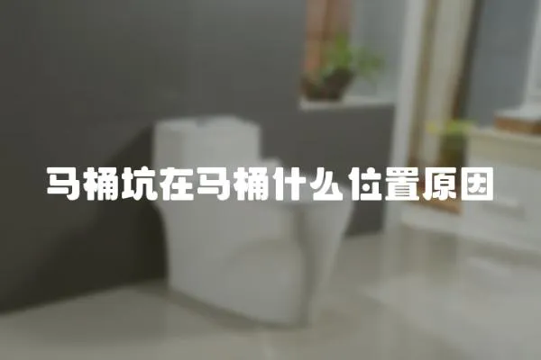 馬桶坑在馬桶什么位置原因