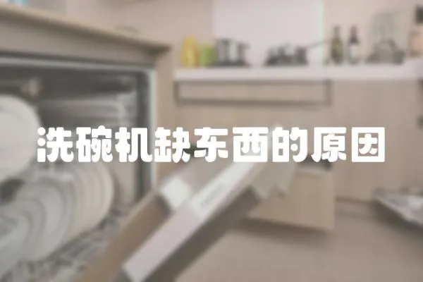 洗碗機缺東西的原因