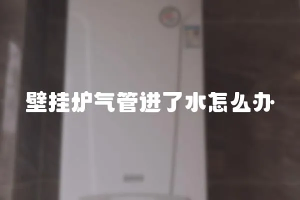 壁掛爐氣管進了水怎么辦