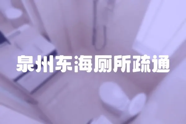 泉州東海廁所疏通