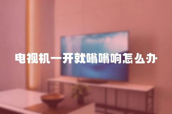 電視機一開就嗡嗡響怎么辦