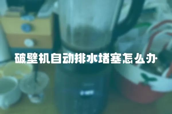 破壁機自動排水堵塞怎么辦