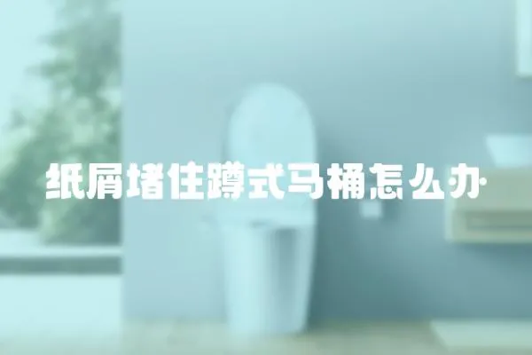 紙屑堵住蹲式馬桶怎么辦