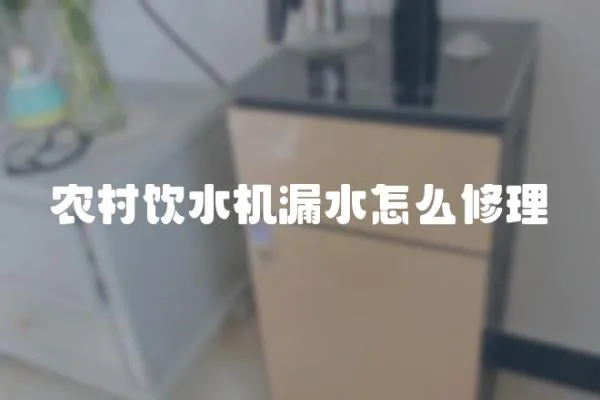 農(nóng)村飲水機漏水怎么修理
