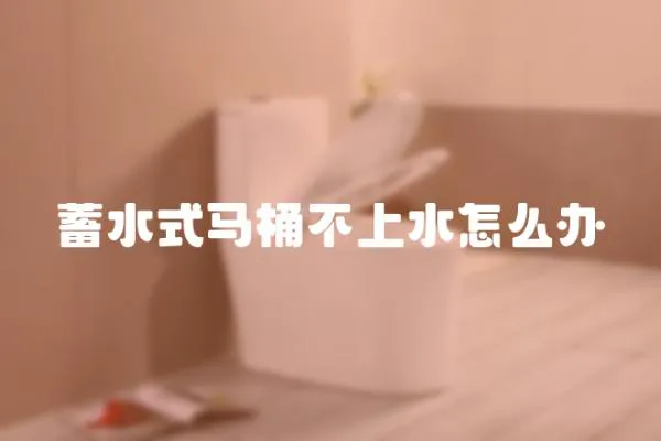 蓄水式馬桶不上水怎么辦