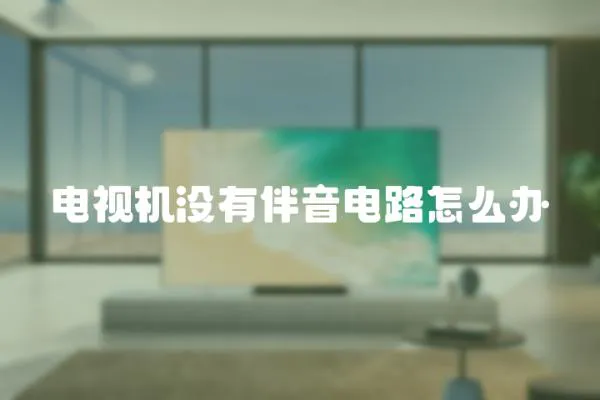 電視機沒有伴音電路怎么辦