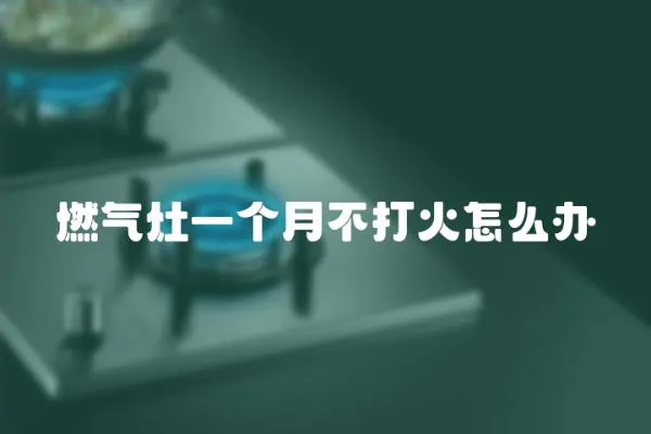 燃氣灶一個月不打火怎么辦