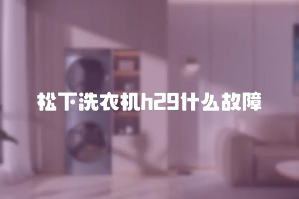 松下洗衣機h29什么故障