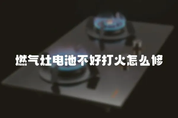 燃?xì)庠铍姵夭缓么蚧鹪趺葱?></a></div>
                    <div   id=