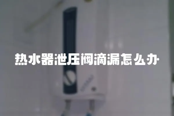 熱水器泄壓閥滴漏怎么辦