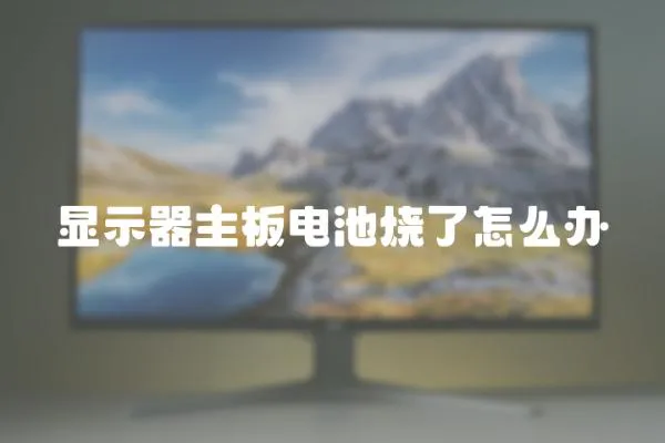 顯示器主板電池燒了怎么辦