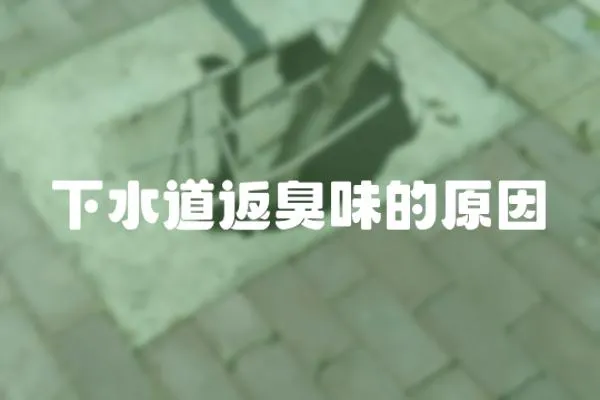 下水道返臭味的原因