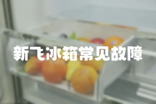 新飛冰箱常見故障