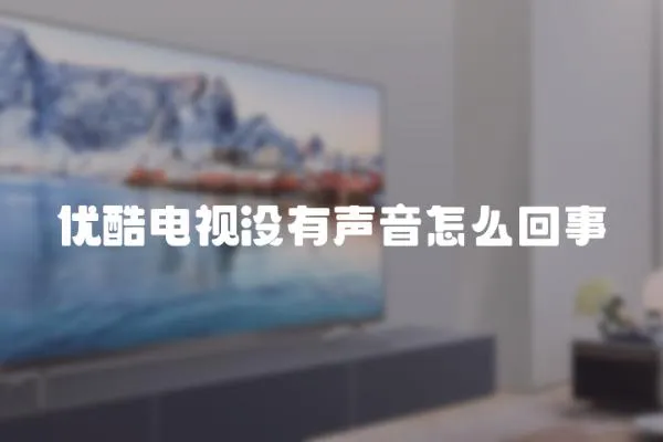 優(yōu)酷電視沒(méi)有聲音怎么回事