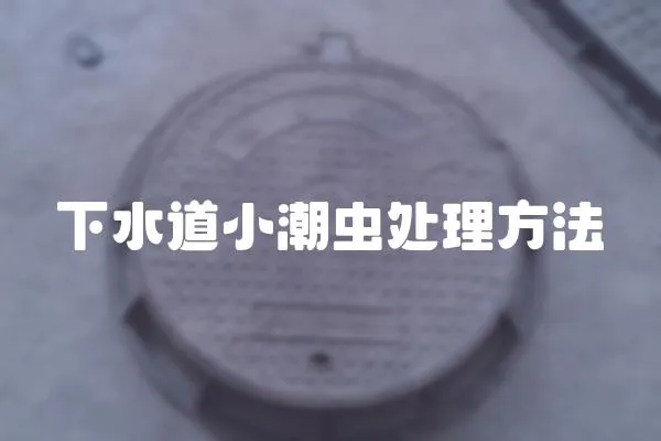 下水道小潮蟲處理方法