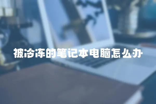 被冷凍的筆記本電腦怎么辦