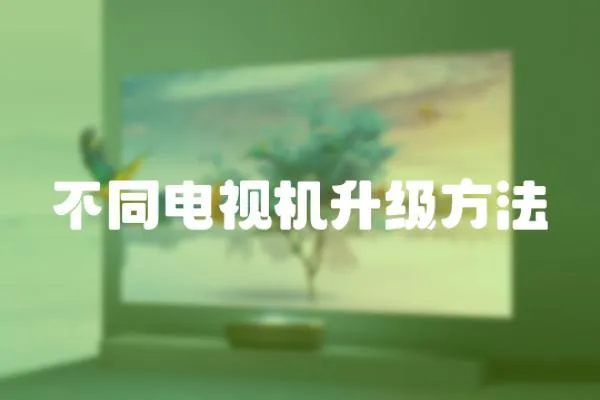 不同電視機(jī)升級(jí)方法