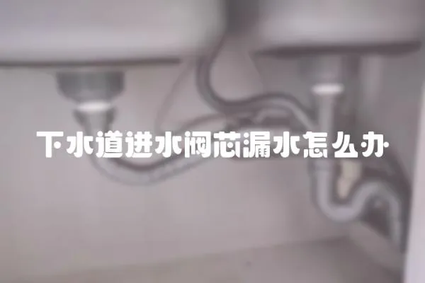 下水道進水閥芯漏水怎么辦