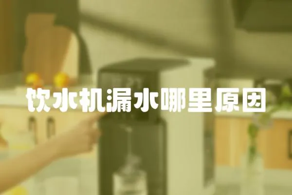 飲水機漏水哪里原因