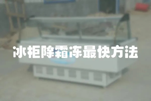 冰柜除霜凍最快方法