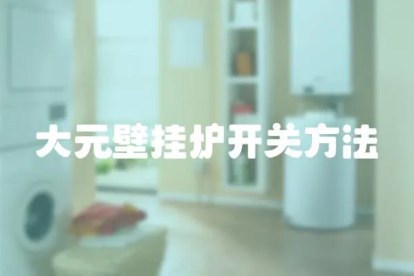 大元壁掛爐開關方法