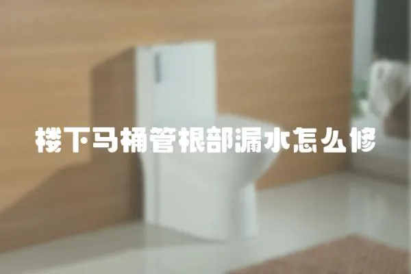 樓下馬桶管根部漏水怎么修