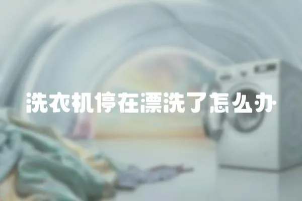洗衣機停在漂洗了怎么辦