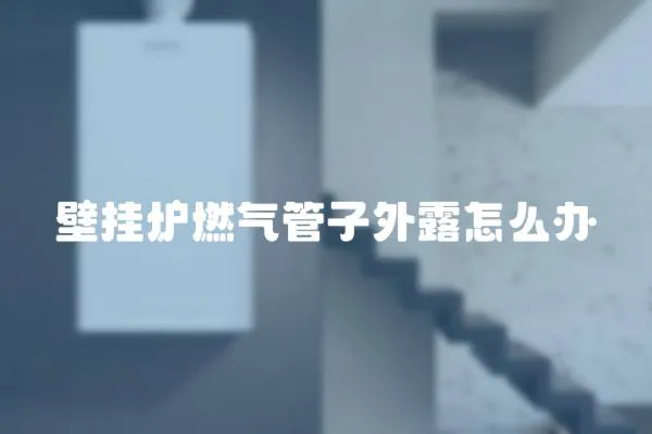 壁掛爐燃?xì)夤茏油饴对趺崔k