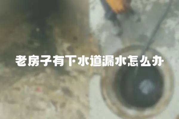 老房子有下水道漏水怎么辦