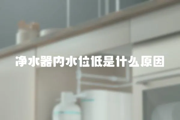 凈水器內水位低是什么原因