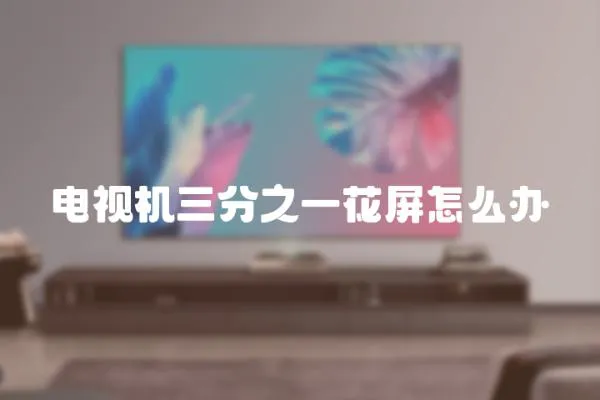 電視機(jī)三分之一花屏怎么辦