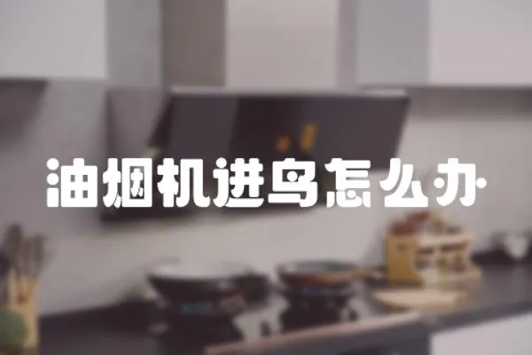 油煙機(jī)進(jìn)鳥(niǎo)怎么辦