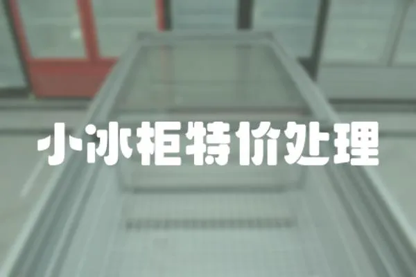小冰柜特價處理