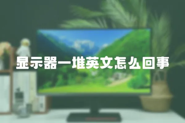 顯示器一堆英文怎么回事