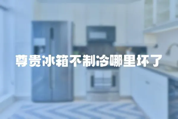 尊貴冰箱不制冷哪里壞了