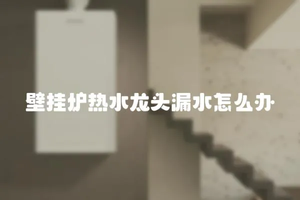 壁掛爐熱水龍頭漏水怎么辦