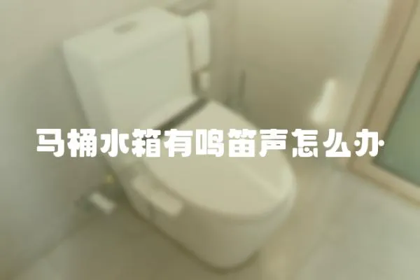 馬桶水箱有鳴笛聲怎么辦