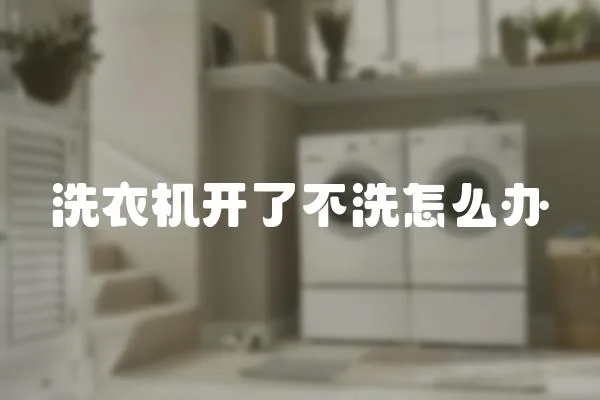 洗衣機開了不洗怎么辦
